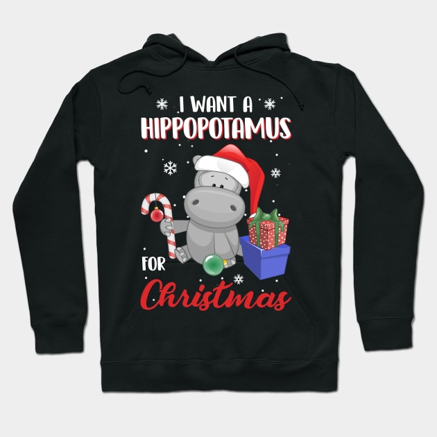 I Want A Hippopotamus For Christmas Hoodie by TeeSky